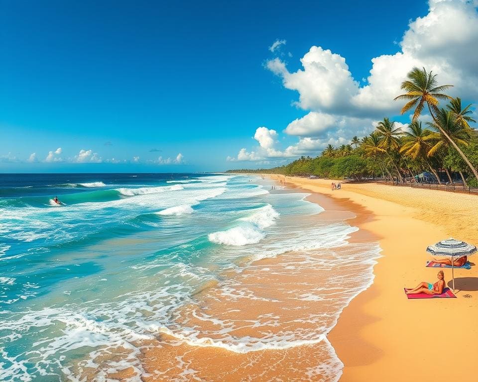 Stranden van Australië: surfparadijs en ontspanning